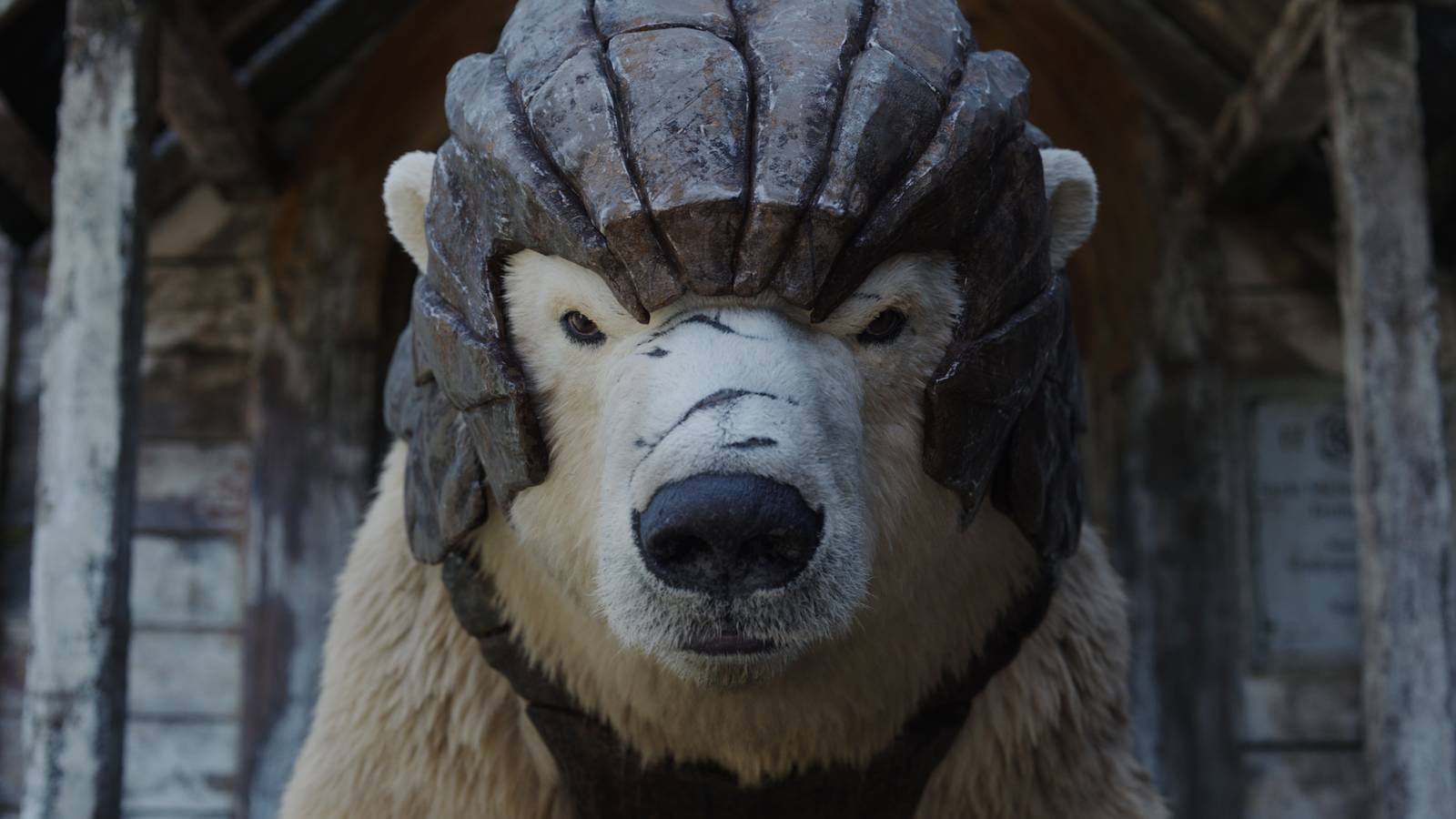 The panserbjørn in His Dark Materials
