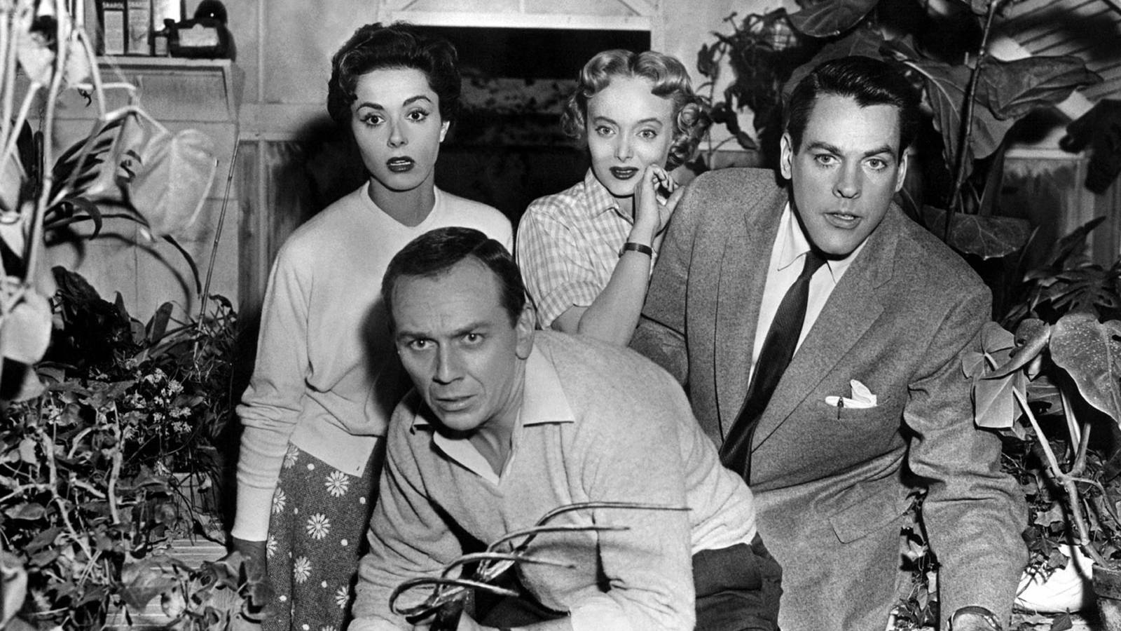 The cast of Invasion of the Body Snatchers look at something in horror while standing in a greenh...